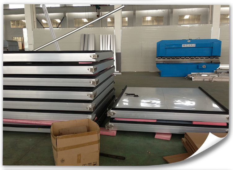 Auto-Sliding Door for Cold Storage /Cold Room