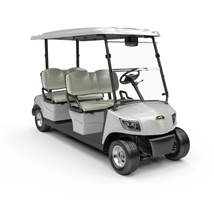 4 Seater Electric Lithium Battery/Lead-Acid Batteries Golf Cart Golf Buggy (DG-M4)