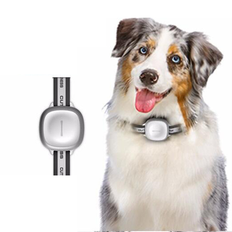 Waterproof Pet Locator Intelligent Navigation WiFi GPS Tracker Tracker Dog Anti-Lost Device