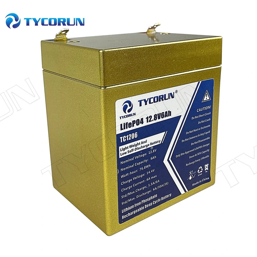 Tycorun Deep Cycle Sealed Batterie Lithium Ion Battery 12V LiFePO4 Battery Pack Motorcycle