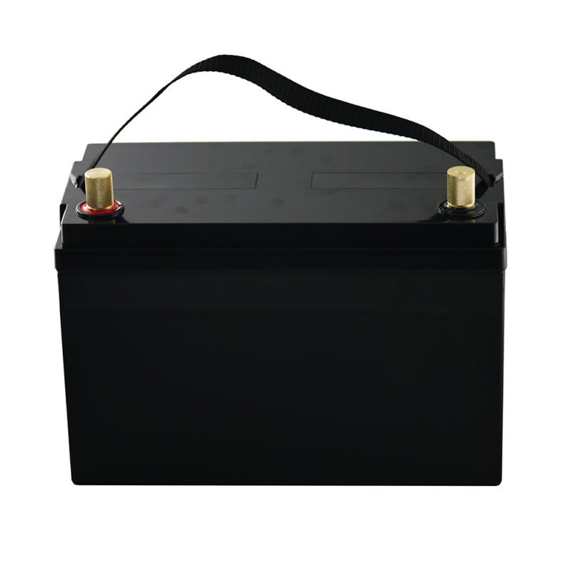 12V 100ah LiFePO4 Pouch Cell Deep Cycle Lithium Ion Battery