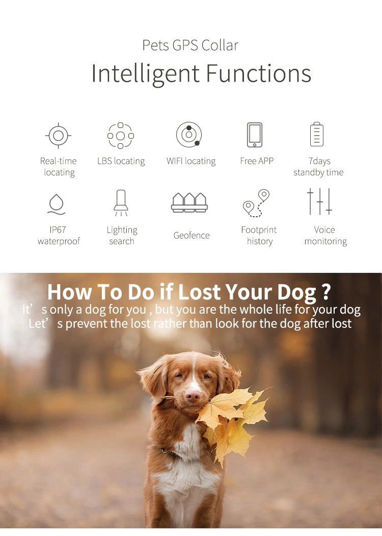 Wireless Anti Lost Alarm Sensor Device Bluetooth Key Finder GPS Tracker for Kids Dogs Car