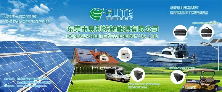 Elite Factory Wholesale LiFePO4 Battery 24V 100ah Lithium Ion Battery Pack RV Battery