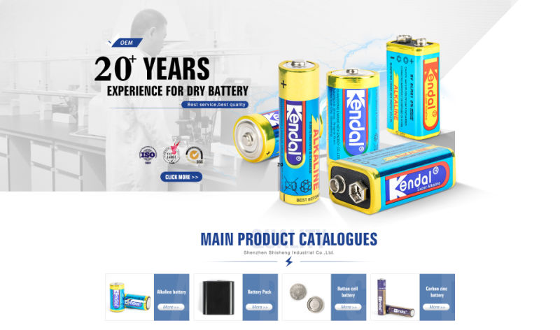 China Battery Manufacture Alkaline Batteries Lr03 1.5V Dry Batteries	Battery AAA Camera Battery