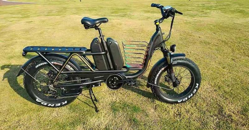 Best Cargo Bikes for Families 48V Dual Battery Electric Assit Bicycle