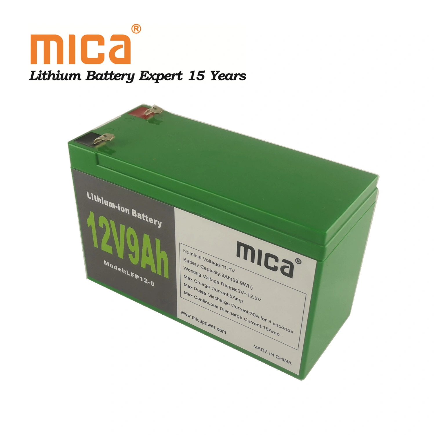 CR2450 Button Battery