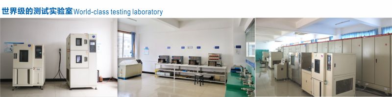 Long Life High Reliability a Variety of Temperature Class Micro Switch
