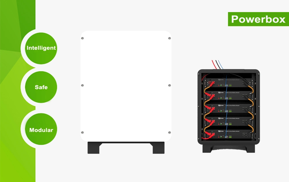 Home LiFePO4 Lithium Ion PV Battery Solar Storage Li-ion Batteries