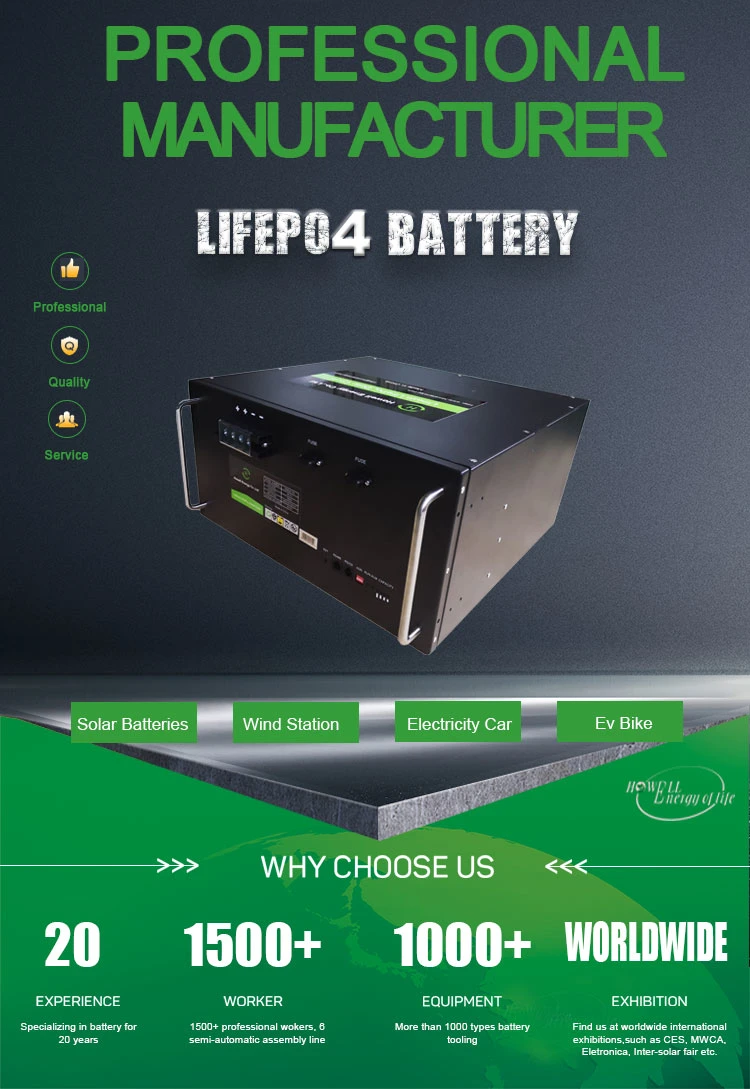 Solar Storage System Deep Cycle Lithium Battery Pack 48V 50ah 100ah LiFePO4 Battery