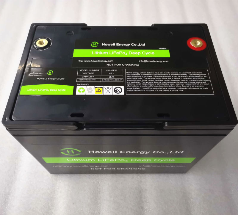Rechargeable Batteries 48V 15ah Lithium Battery for Surveillance Cameras