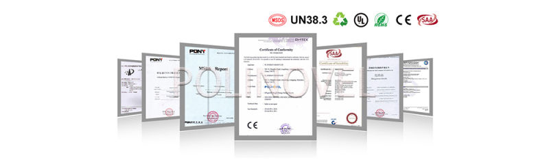 Polinovel 51.2V 400ah off Grid Home Solar Power System Lithium Ion Storage Lithium Ion Battery