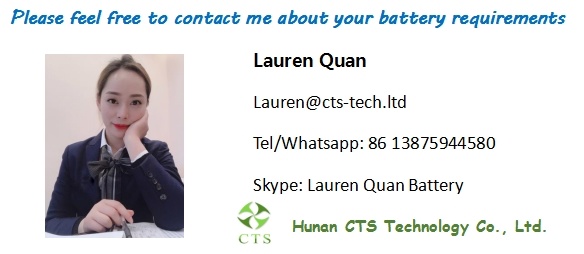 Hot Sell 24V 100ah Lithium Ion Battery Packenergy Storage&#160; Battery EV Battery with BMS