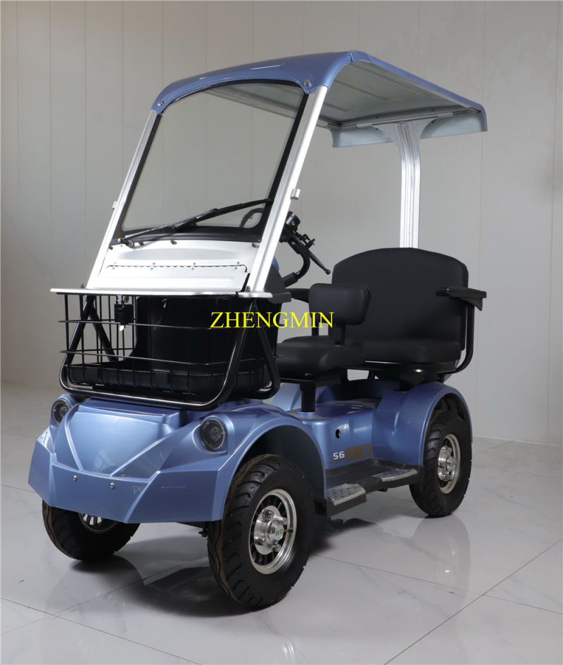 Adult Lithium Battery Operated Electric Golf Cart