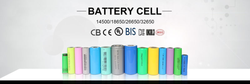 18650 Lithium Ion Battery Cell 3.7V 4800mAh Used for E-Bike