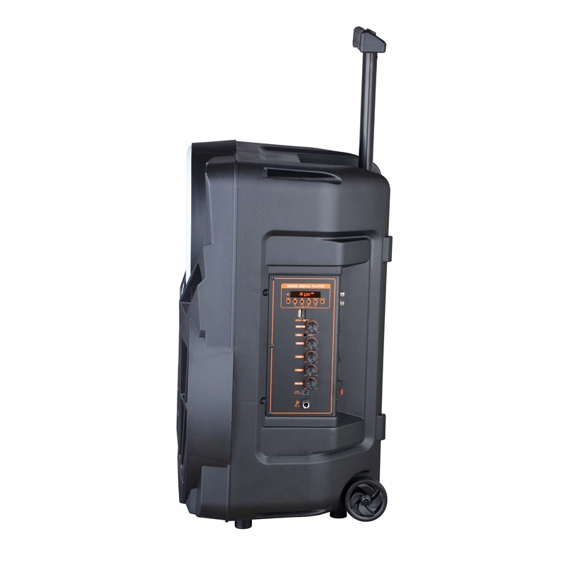 New PC Home Theater Professional Wireless Karaoke Party Portable Bluetooth Party PRO Audio Active Trolley Speaker