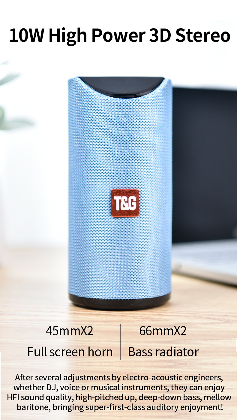 Tg113 Bluetooth Speaker Portable Outdoor Mini Wireless Speaker with TF Card FM Radio