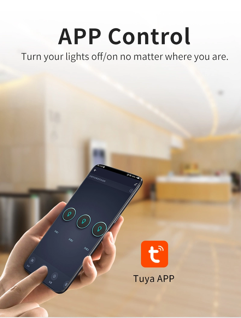 Tuya Smart Switch Used with Amazon Alexa, Google Home Bluetooth Speaker