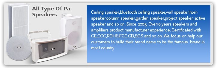 Factory Directly Active Speaker with LED Display 12"350W Full Range Speaker with Bluetooth