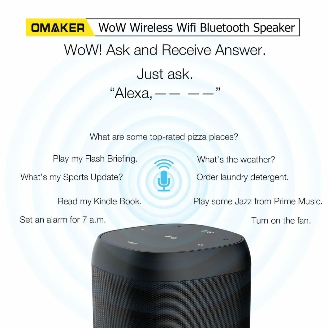 W55 WiFi Speaker Voice Control Speaker Ai Smart Speaker Amazon Alexa Voice System AVS System