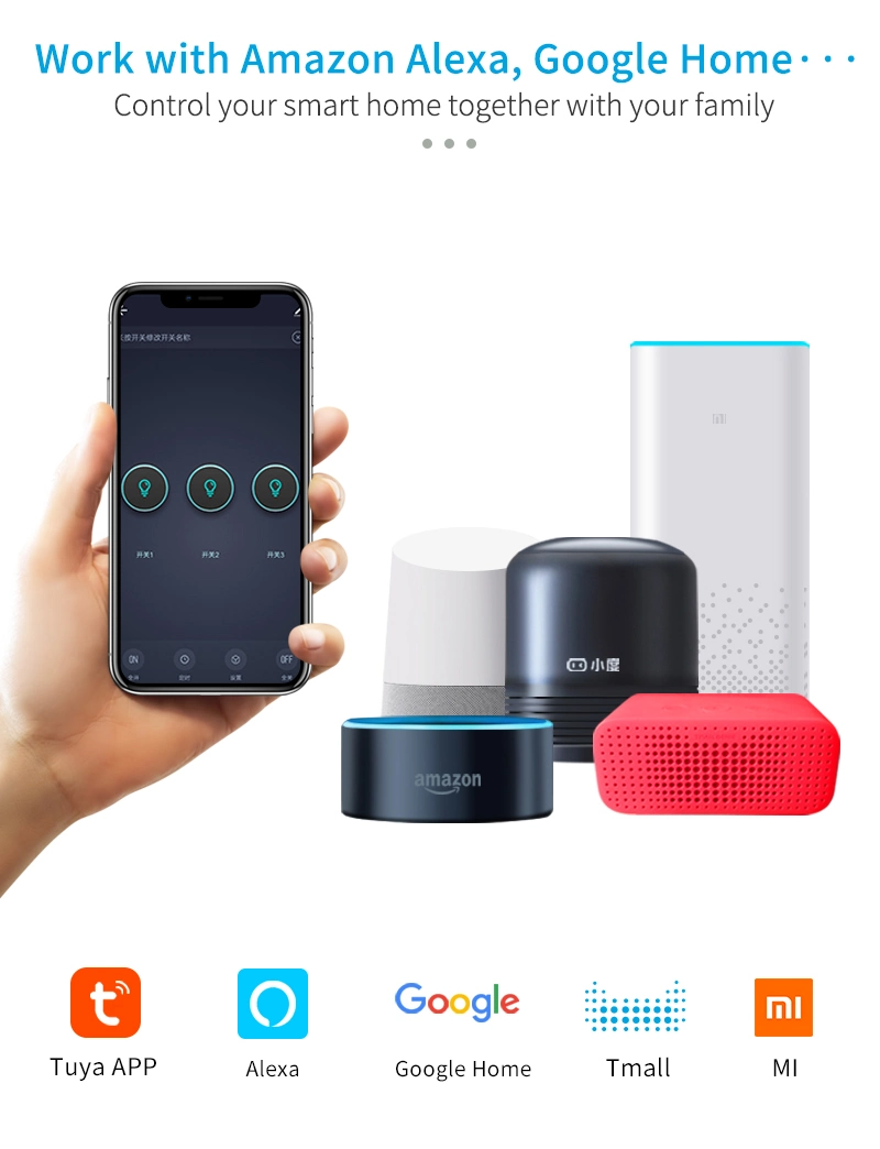 Tuya Smart Switch Used with Amazon Alexa, Google Home Bluetooth Speaker