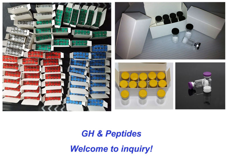 Top Quality Hormon Peptides Peg-Mgf/Mgf/Peg Mgf