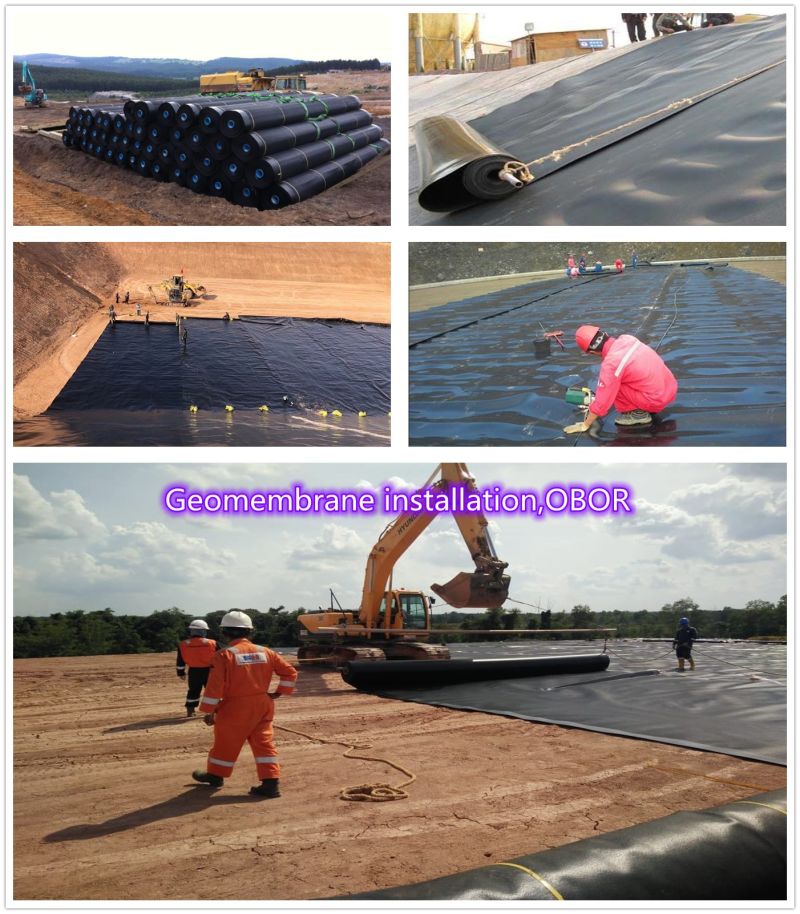 Waterproof Impermeable HDPE Geomembrane for Fish Shrimp Tank