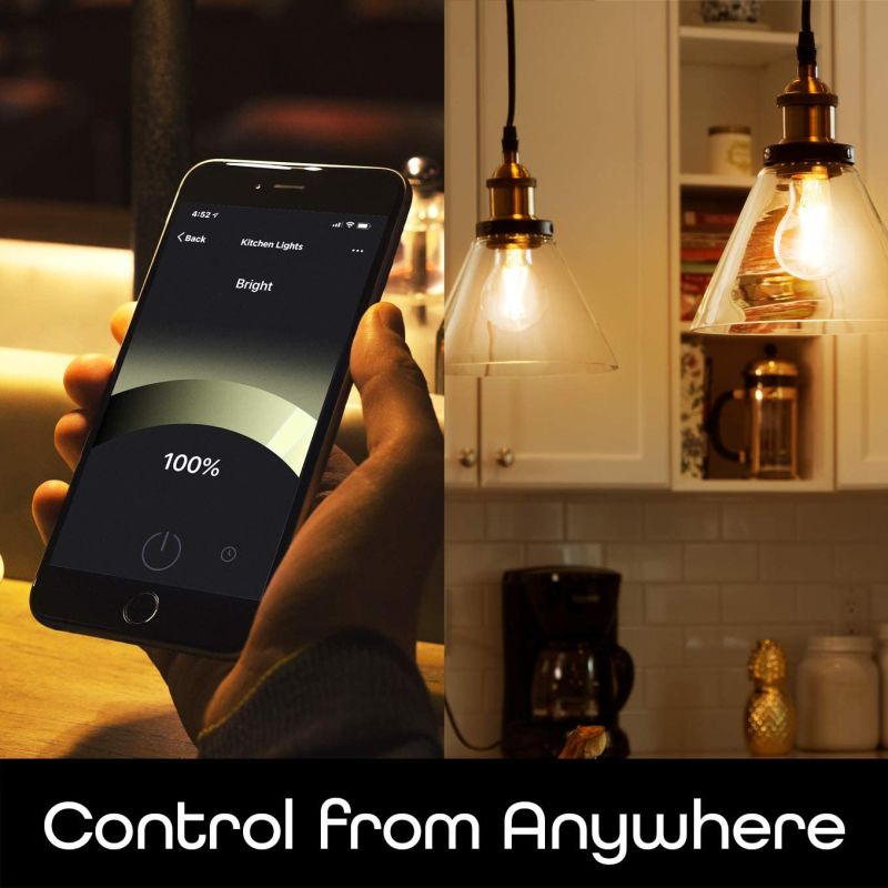 A19 Smart Light Factory Direct WiFi LED Light Bulb