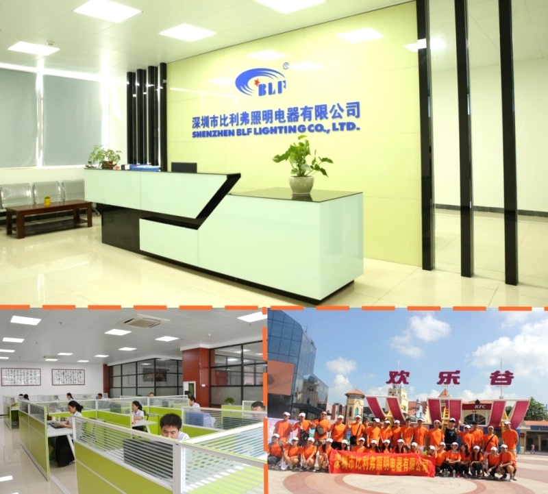 Factory Produces Indoor Lighting Ceiling and Various LED Downlight
