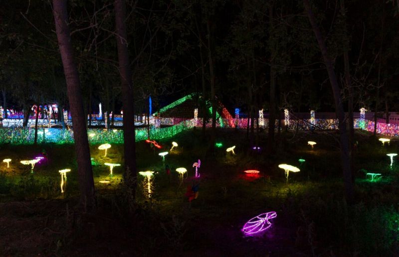 Nature LED Garden Light Magic Design Ball Garden Light
