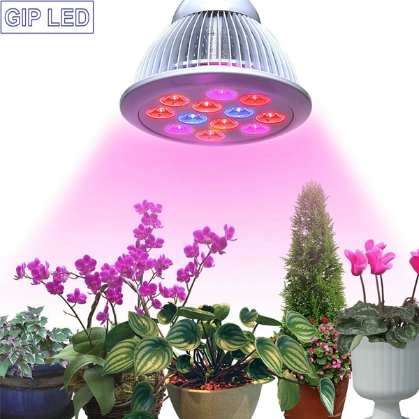 Chinese Best LED Grow Light Factory 24W LED Grow Light