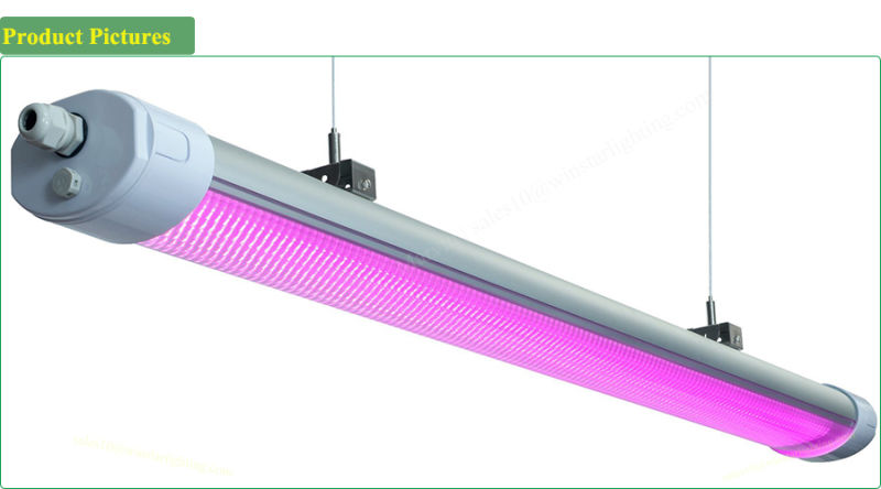 China Wholesale Distributor 150W IP65 LED Grow Light, LED Tri Proof Light, LED Light Bar