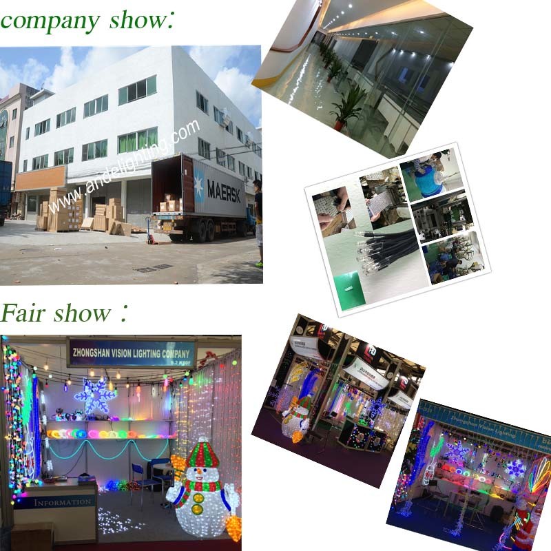 China LED Christmas Light Manufacture Street Light
