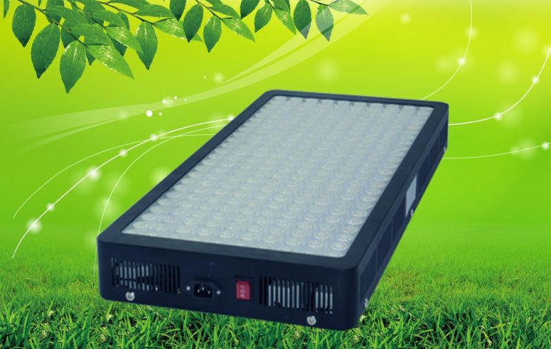 Manufacturers Supply 1200W LED Grow Light for Growplant
