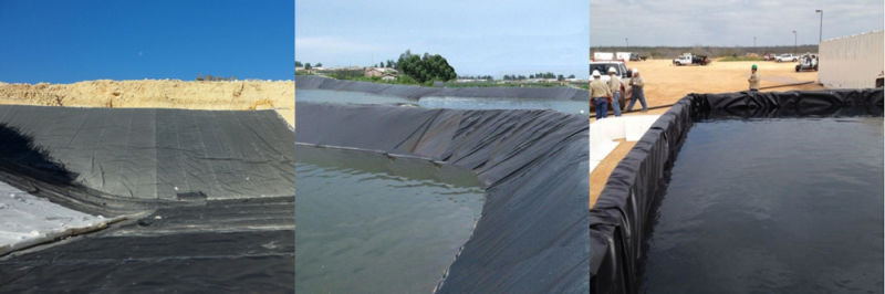 Impermeable Liner Factory Price Waterproof HDPE Geomembrane