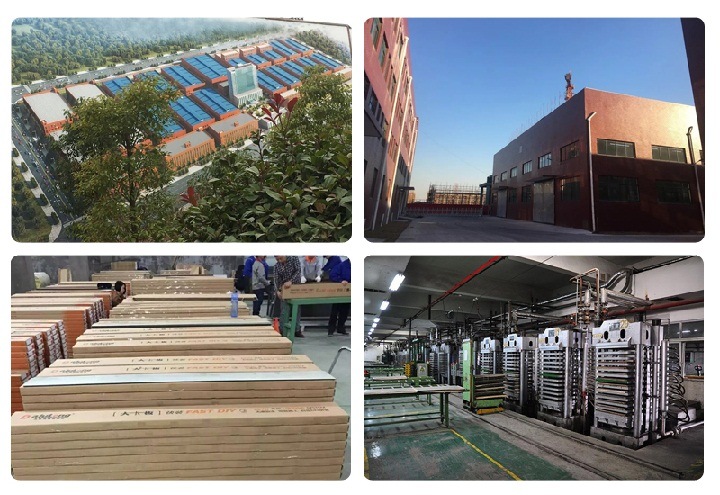 China Supplier Commercial Waterproof Flooring Spc &Lvt & Lvp