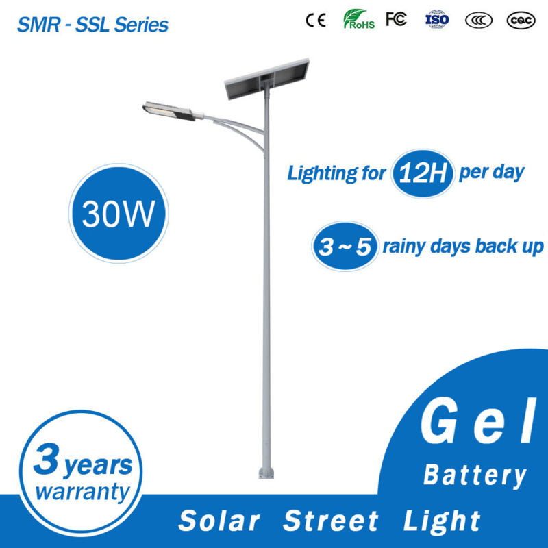 12V 30W LED Solar Power Street Light with Lamp Post Cheap Price