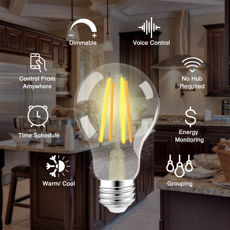 A19 Smart Light Factory Direct WiFi LED Light Bulb