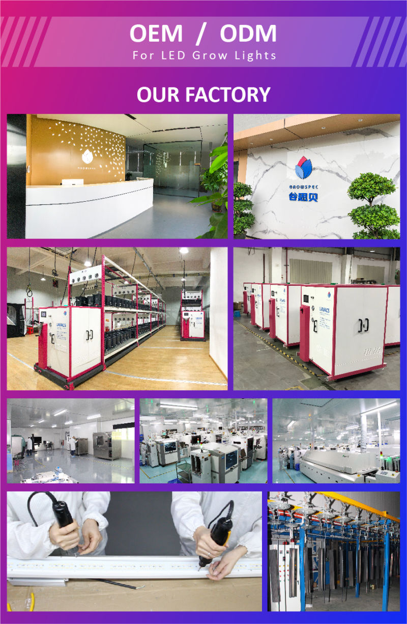Best Supplier of Horticulture LED Grow Lights From China with Best Price.