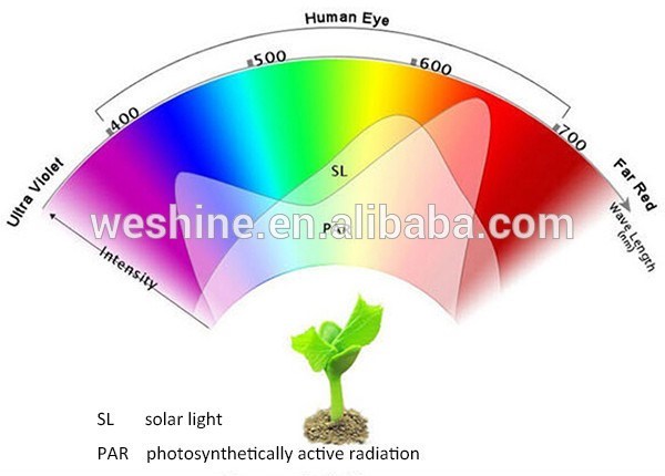 Chinese Best LED Grow Light Factory 24W LED Grow Light