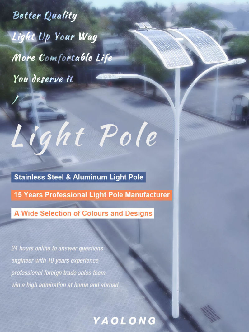 Factory Direct Sale SS304L LED Street Light Pole for Parking Lot