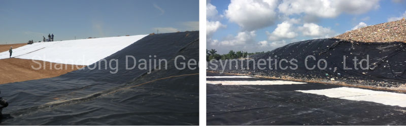 ASTM Waterproof Impermeable HDPE Geomembrane for Landfill Mining