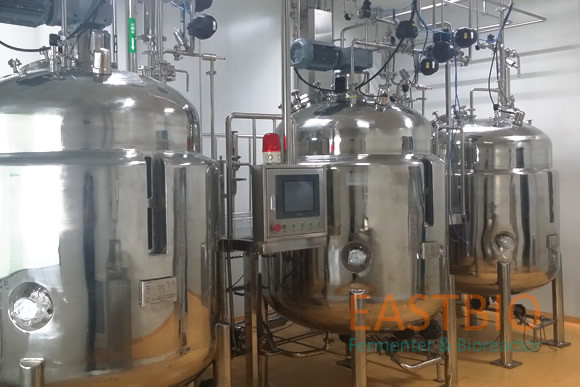 Turnkey Contractor Project Running Fermentation Tank Base