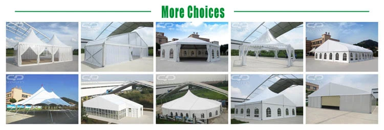 Songpin Middle Size Curved Tensioned Fabric Structure (TFS) Tent for Events and Industrial Applications (TX15-20)