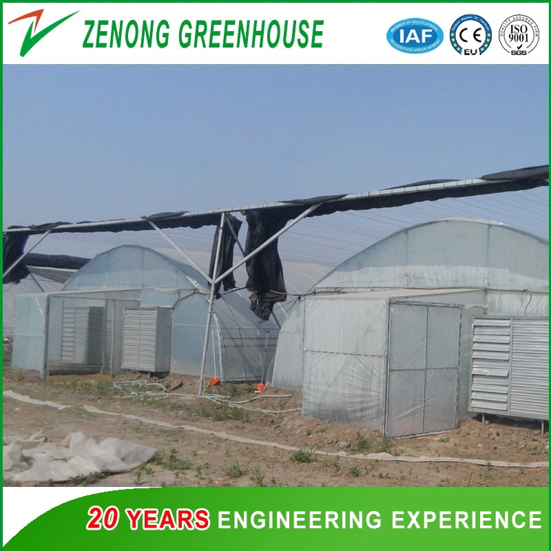 Single Span Curved Arch Greenhouse with Outside Shading Screen for Sunshine Block for Sale