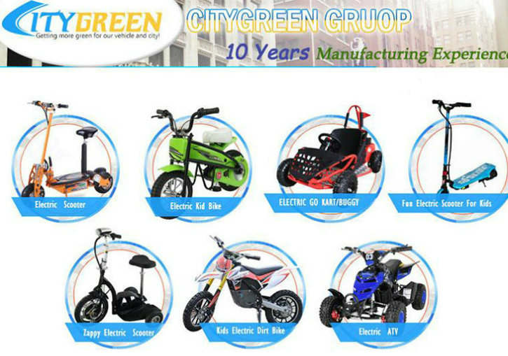 Folding Electric Vehicle outdoor Vehicle 2 Wheels Electric Scooter