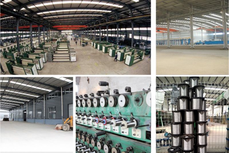 Iron and Stainless Steel Wire Coil