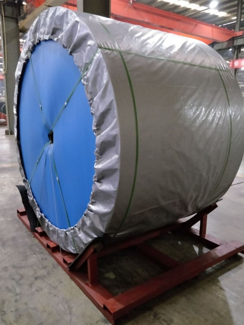 Oil Resistance Bucket Elevator Belt Used in Chemical Factories