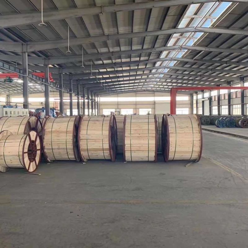 Multi Core Armoured Fiber Optic Cable Outdoor 12 24 48 96 Core Aluminum Tape Armored Cable