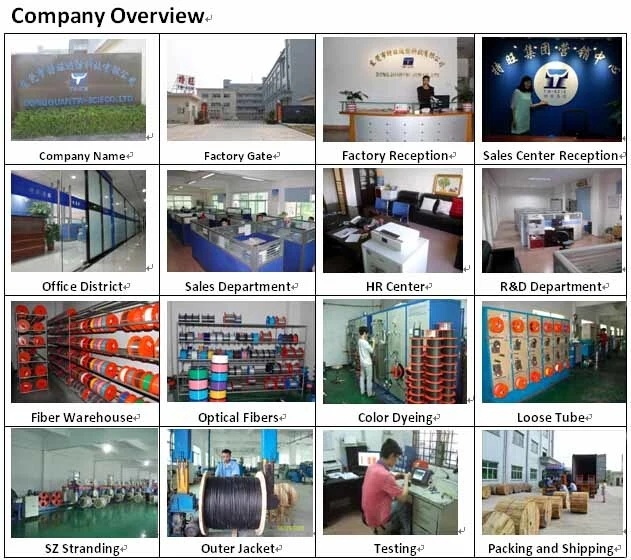 12/24 Core GYTS Outdoor Aerial and Duct Multi Core Fiber Optic Cable