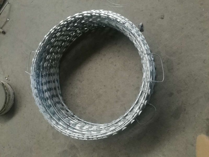 Razor Protecting Wire Mesh Security Concertina Coils